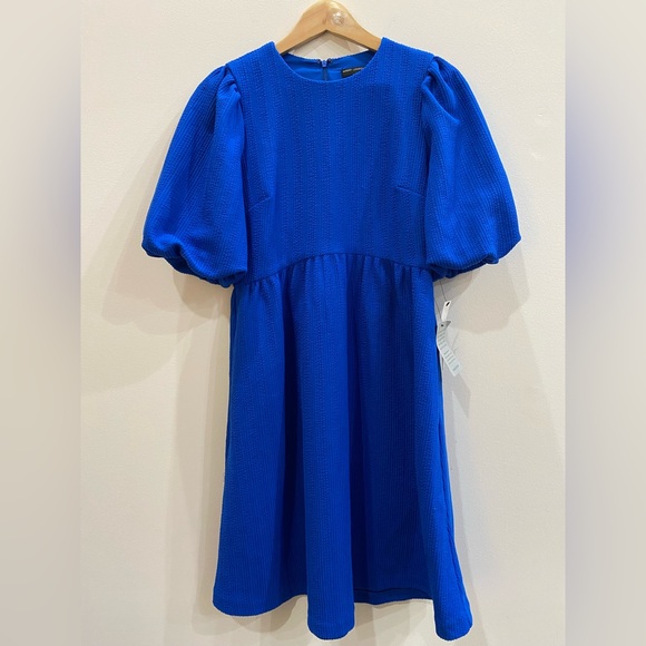 Maggy London Vibrant Blue Mini Dress - Picture 1 of 7